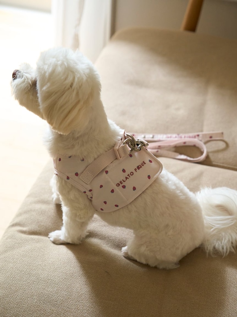 CAT&DOG】【販路限定商品】モチーフ柄ハーネス GELATO PIQUE