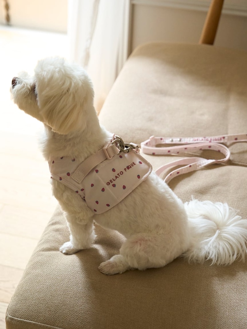 ジェラートピケ　スリープドッグ柄ワンピース　マルチーズ　DOG CAT&DOG】モチーフ柄ハーネス GELATO PIQUE CAT&DOG ジェラート