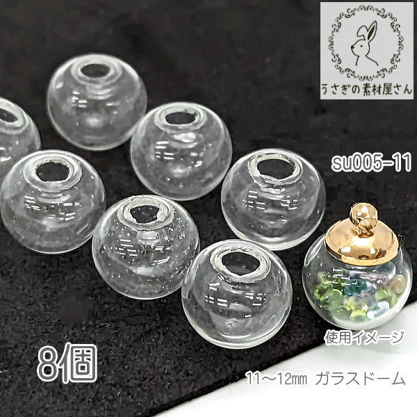 楽天市場】【最大2000円オフ！】大感謝祭限定クーポン！ガラスドーム