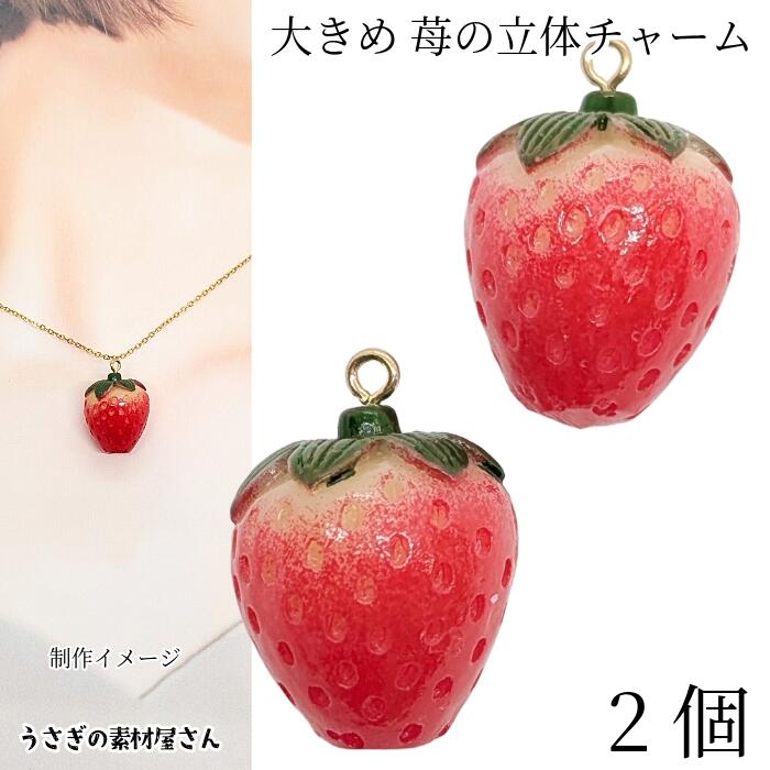 楽天市場】訳アリ チャーム ブドウチャーム 葡萄 フルーツcharm