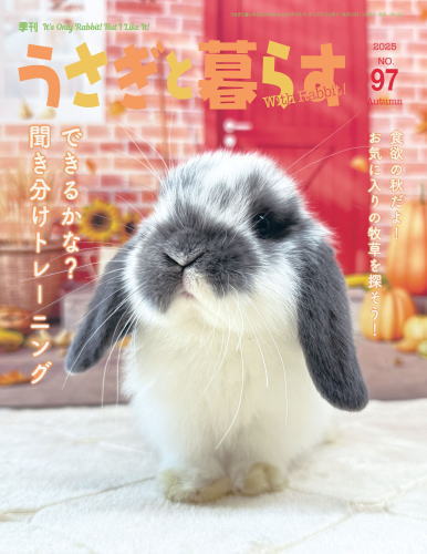 楽天市場】うさぎと暮らすNo．26 : 小動物専門店ヘヴン