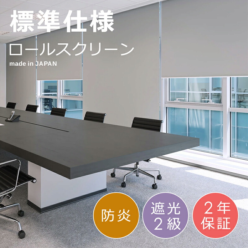 【先着引き換え証離れ離れ中】 ロールスクリーン 遮光 防炎 ロールカーテン 購入注文 UVとり捨てる 覆い布線路初っ切り 賃貸借契約聞き入れる プルコード式 チェーン店式 日本製 バス発着場 立川機工 タチカワ