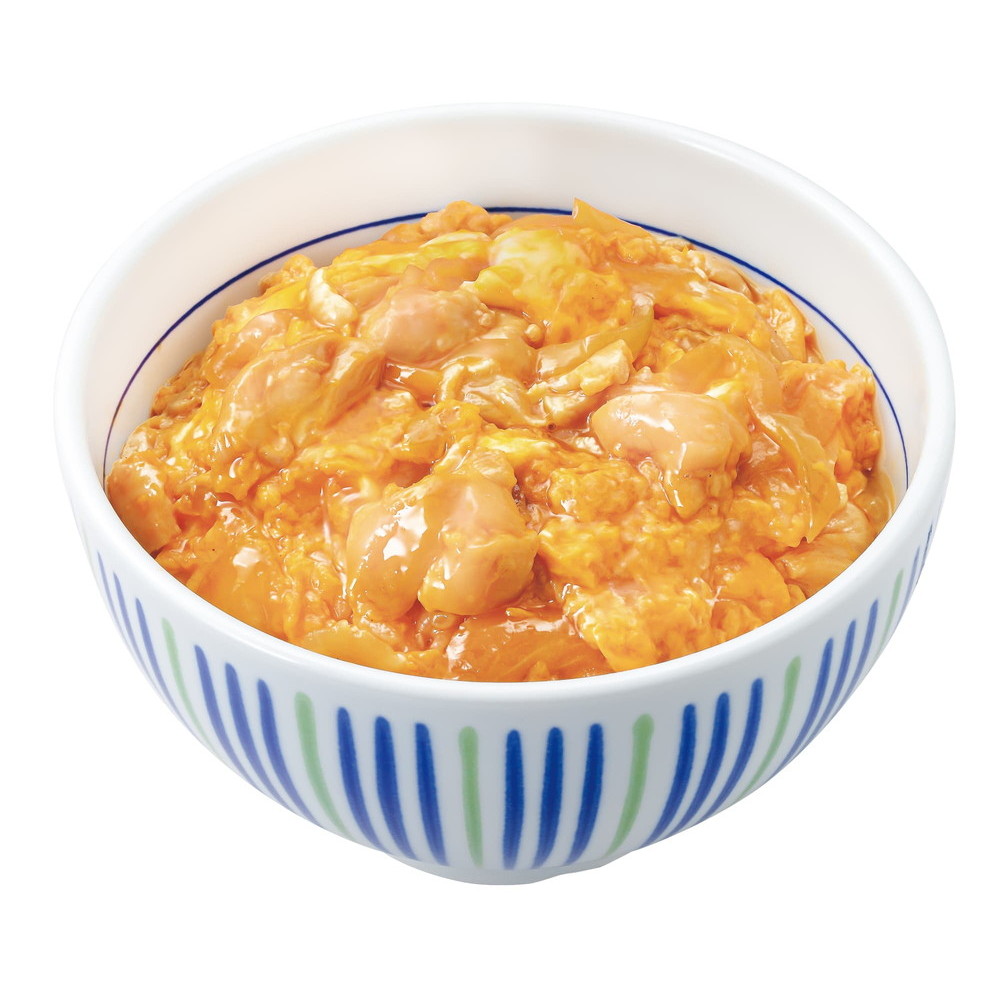 お中元 22 レトルト ギフト セット 惣菜 どんぶり なか卯 カツ丼の具 夏