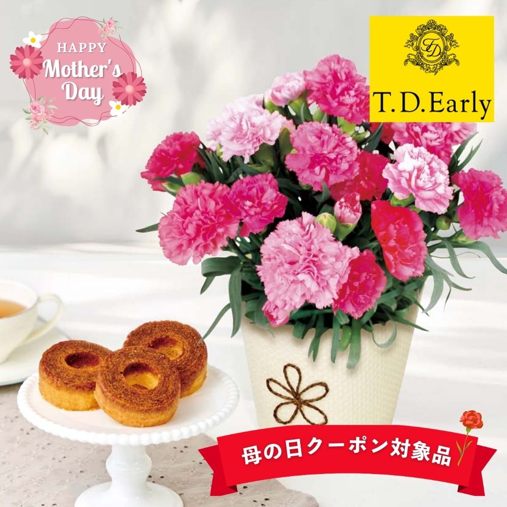 母の日2026 ギフト カーネーション(ホットハート)と「T.D.Early」キャラメリゼバウム7個入 鉢植え ギフト