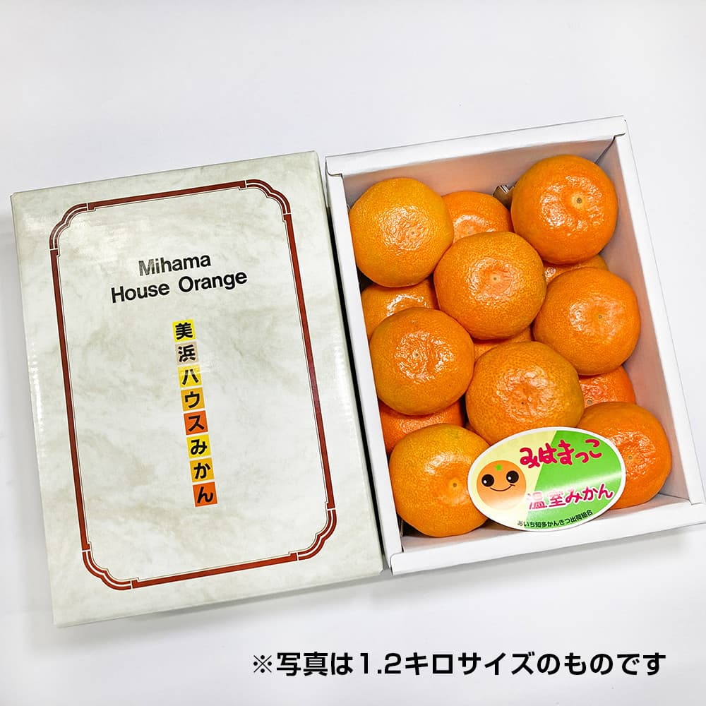 みかん ジェイエイフーズおおいた つぶらなミカン 190g| コープこうべネット