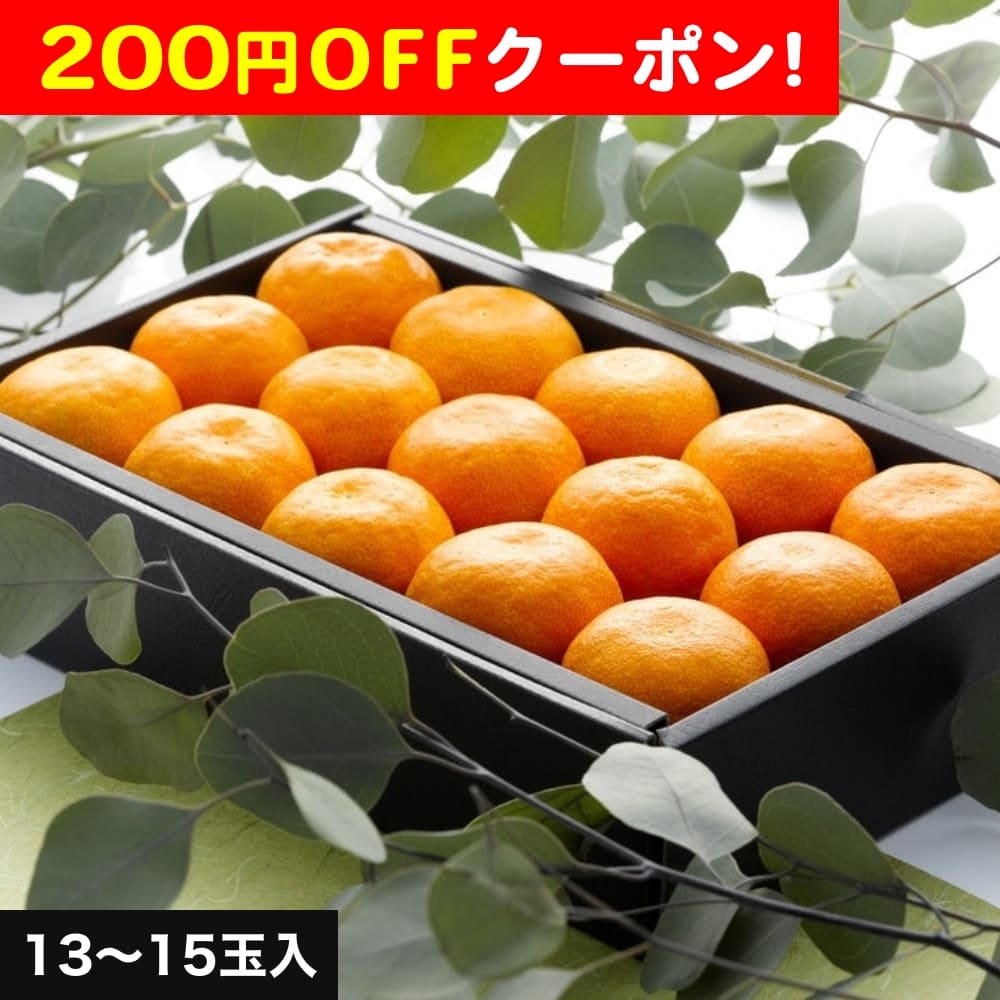 みかん　保存袋　3点セット 楽天市場】【お買物マラソンpoint最大32倍】 お中元 早割 御中元