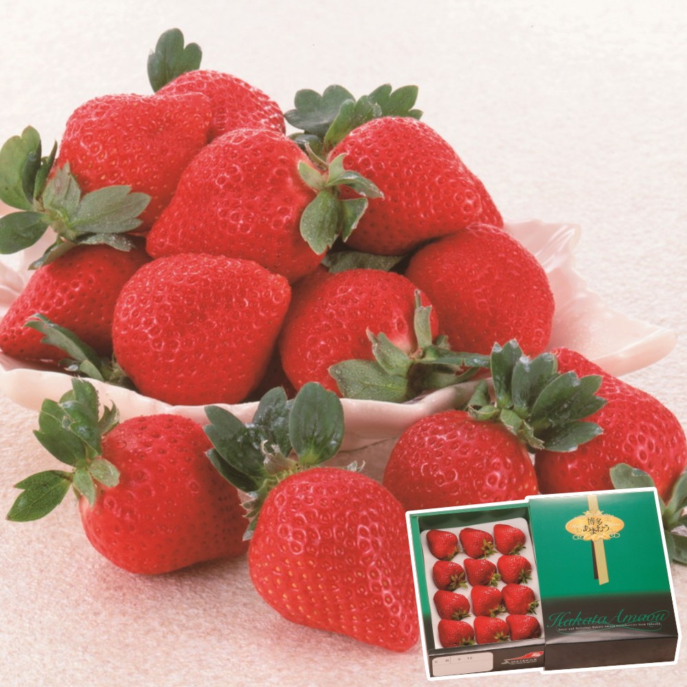 新井亮 赤い鳥 栃木県出身 グラフィックデザイナー