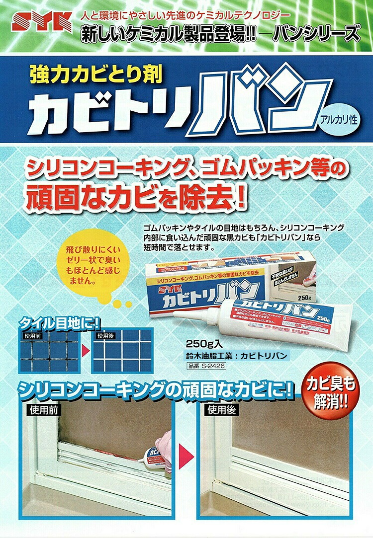 市場 カビ取り お風呂 風呂 掃除用 プロ用強力タイプのカビ落とし 大掃除 浴室掃除 カビ