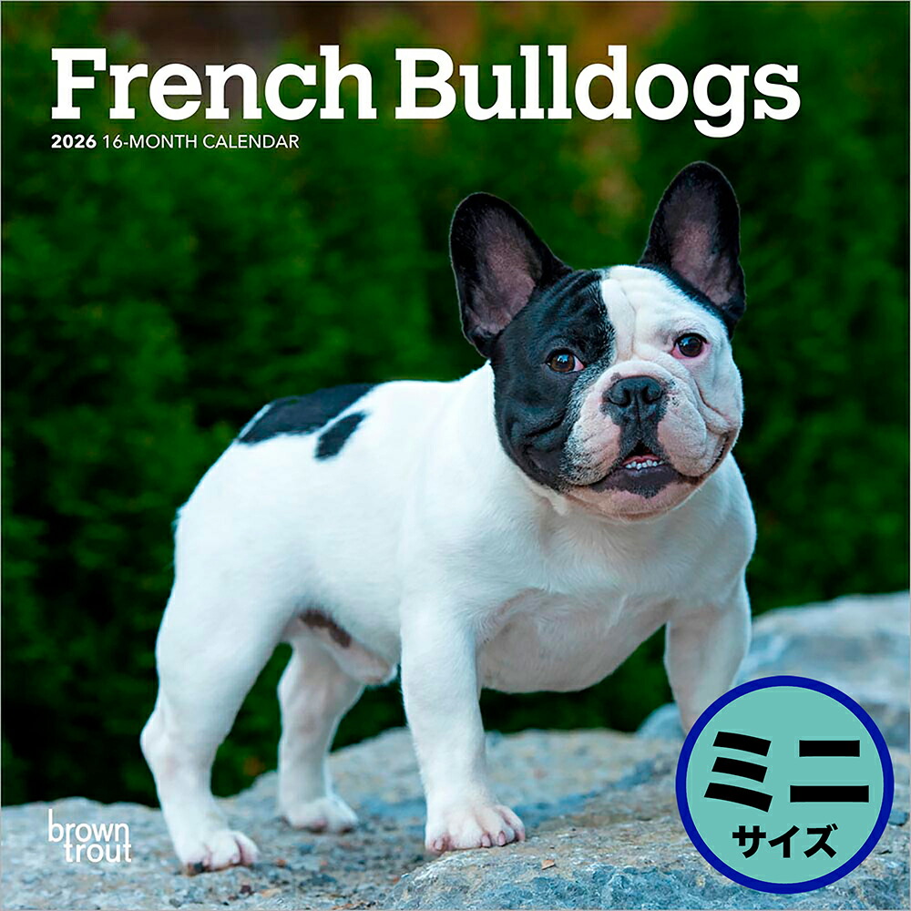 フレンチプードルさま専用！ フレンチプードルさま専用！