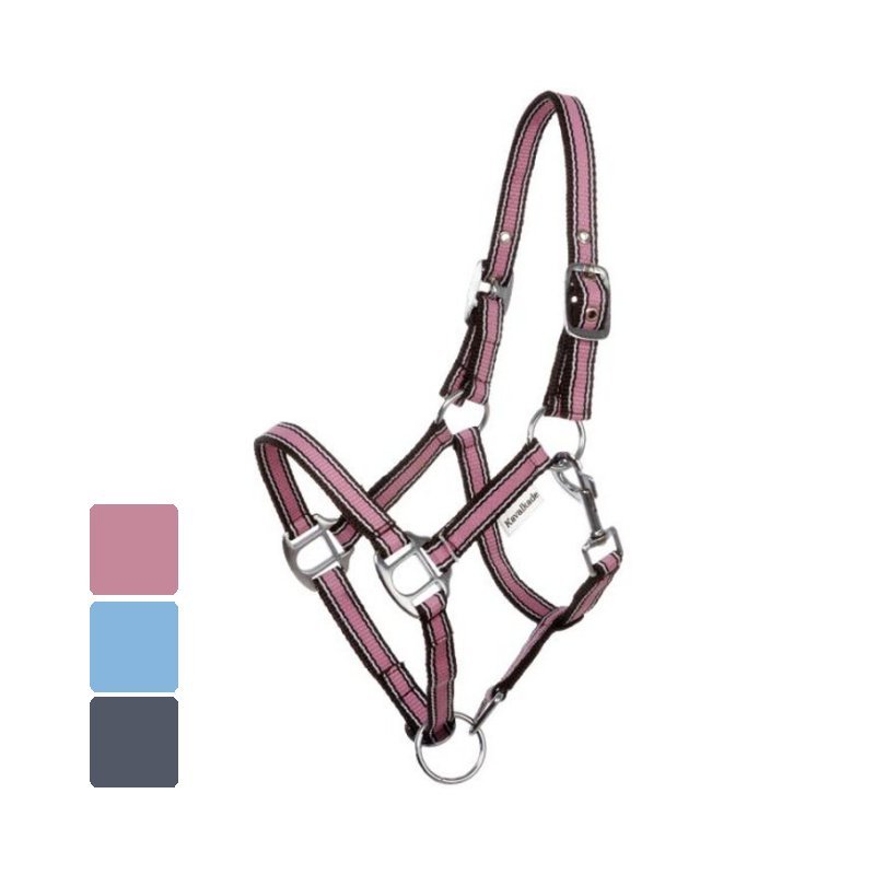 960px-Polo_070922_22.jpg