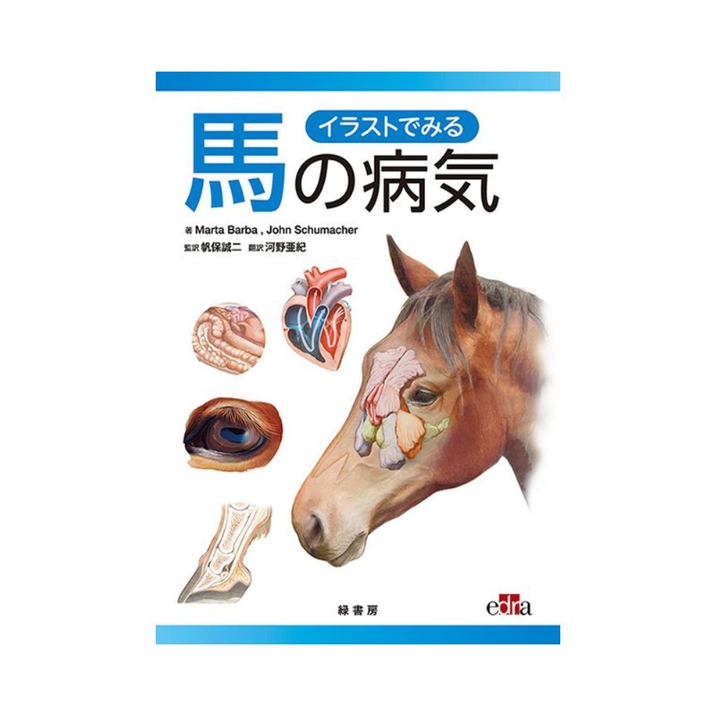 楽天市場】書籍 馬と人の絆を深める乗馬術 BK031 馬術 乗馬 馬 緑書房 ボRD : プラスワイズ ホームセンター店