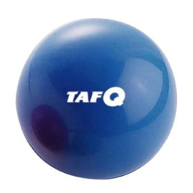 楽天市場】Champion Sports フォームボーリングボール ボウリング 練習