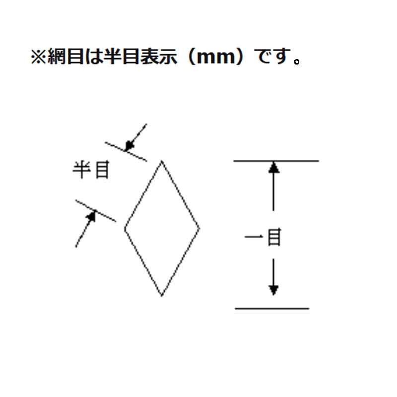 投網 ワカサギ用投網 No Cn 6 打網 唐網 安全ゴムリング 特製投網袋 付き 投網漁 漁場 フィッシング アミ 魚 漁具 三谷g 代引不可 septicin Com