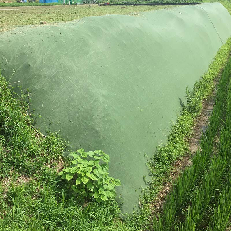 雑草押さえ付けるおまかせサイバー空間 幅2m×50m巻 緑であること 緑 雑草打つ手 法面 畦畔 大一産業 北海道送りとどける不可 代引不可