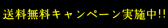 楽天市場】USヘッドライト ヘッドライトアセンブリ右ドーマン888-5109