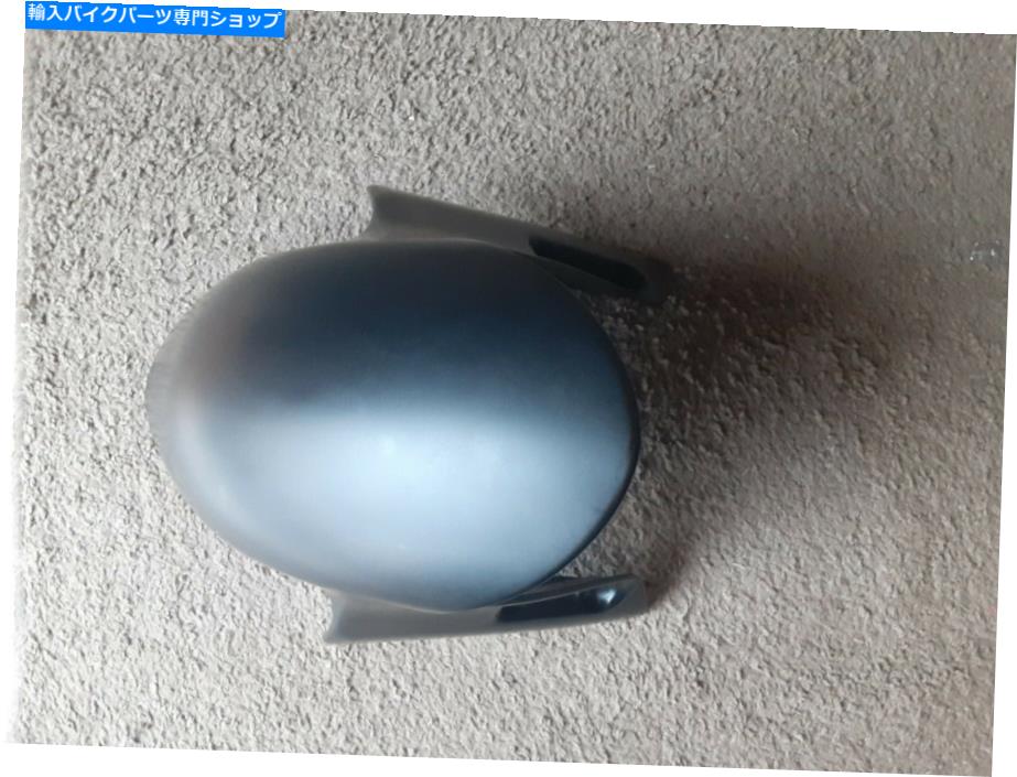 Front Fender DUCATI V4フロントフェンダー Ducati V4 Front Fender【並行輸入品】