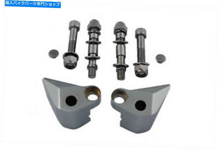 Mirror クロームミラーマウントブロック Chrome Mirror Mount Block【並行輸入品】