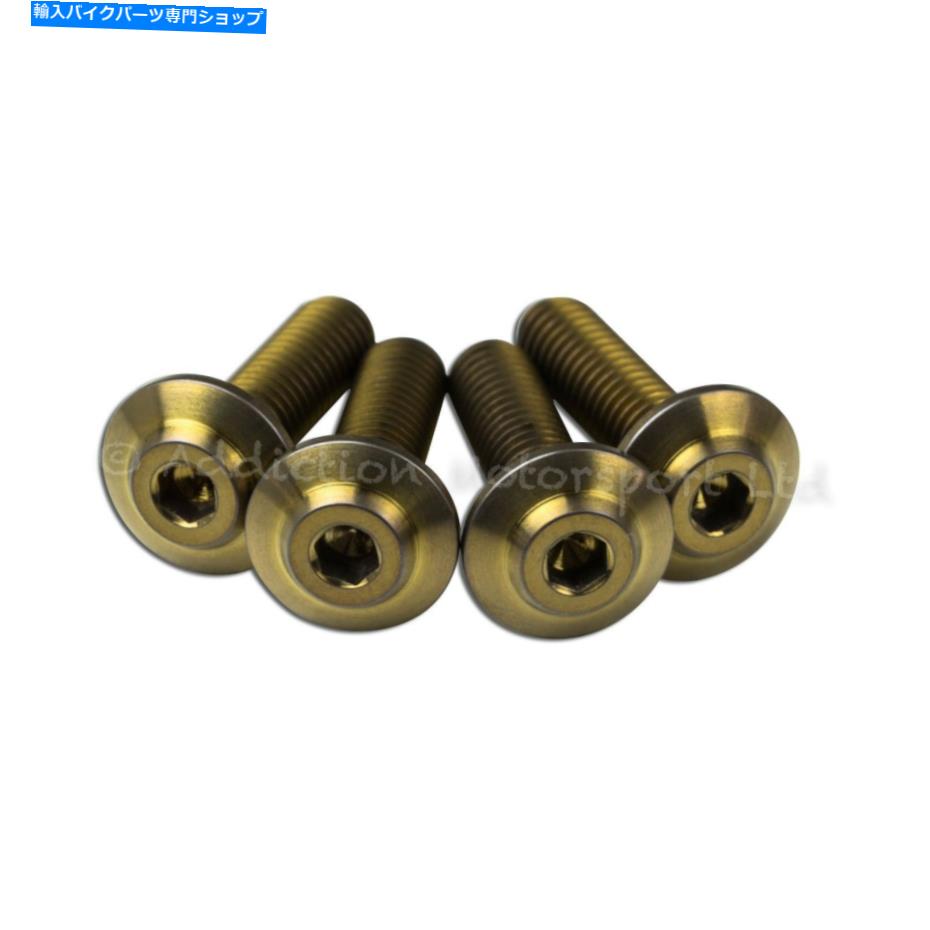 Rear Fender 4X DUCATI 1199 S R PANIGALE BRONZEチタンリアハーガーネジ 4x Ducati 1199 S R Panigale Bronze Titanium Rear Hugger Screws【並行輸入品】｜Us Custom Parts Shop USDM