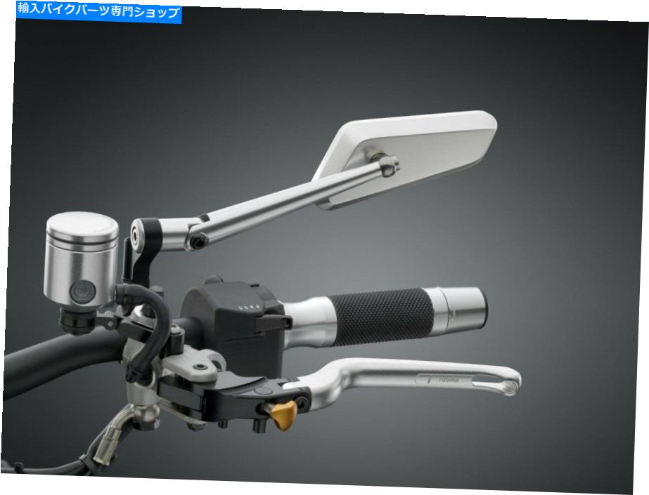 Mirror RizoMA回路744ミラー天然銀対BS201 BS202. Rizoma Circuit 744 Mirror Natural Silver Pair BS201 BS202【並行輸入品】