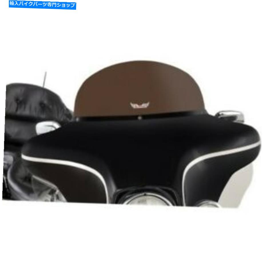 Windshield スリップストリーマー10 \