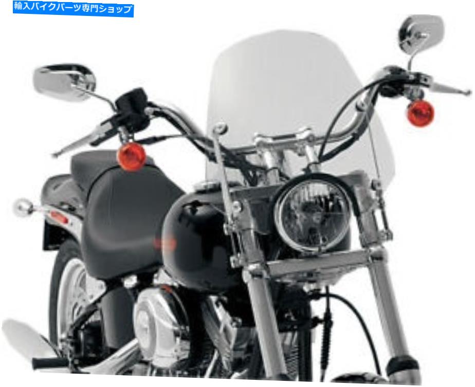 Windshield メンフィス色合い15 \