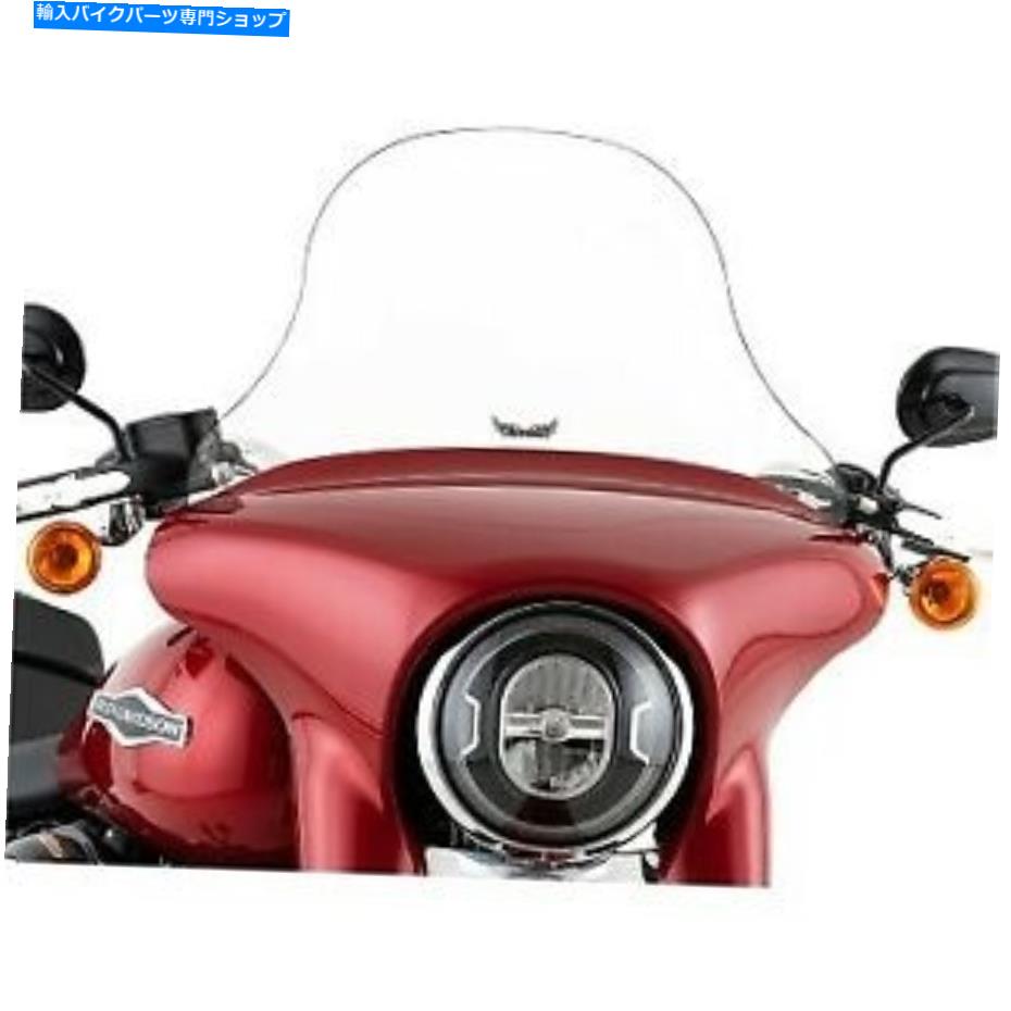 Windshield スリップストリーマ10 \
