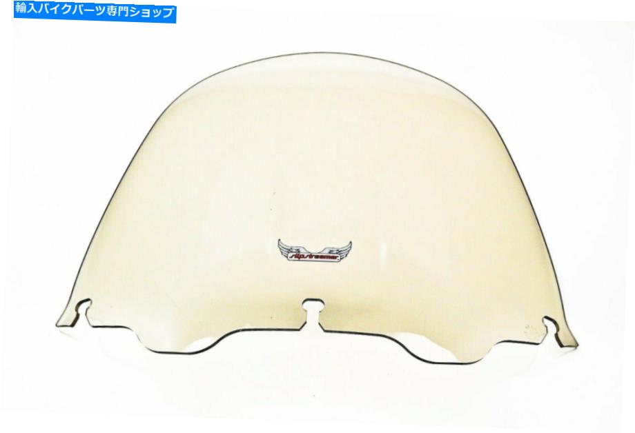 Windshield スリップストーマ16 \