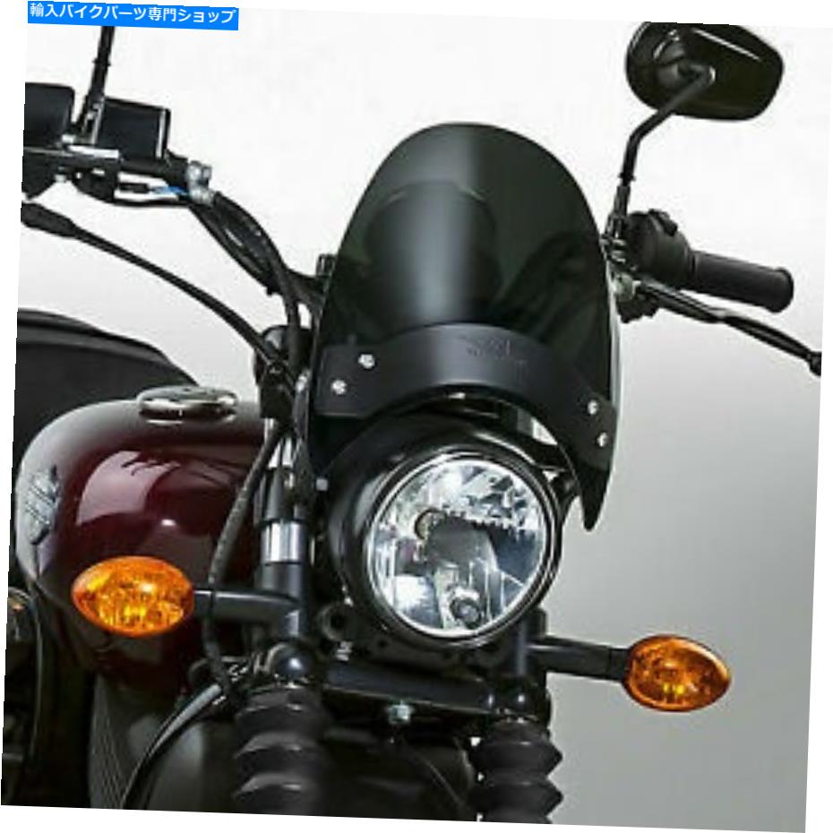 Windshield 国民周期N2535-002フライスクリーンブラックマウント National Cycle N2535-002 Flyscreen Black Mount【並行輸入品】