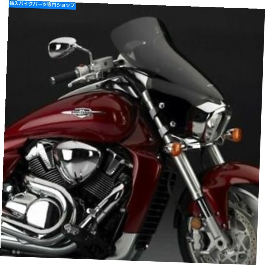Windshield ナショナルサイクルVSTREAM 10 \