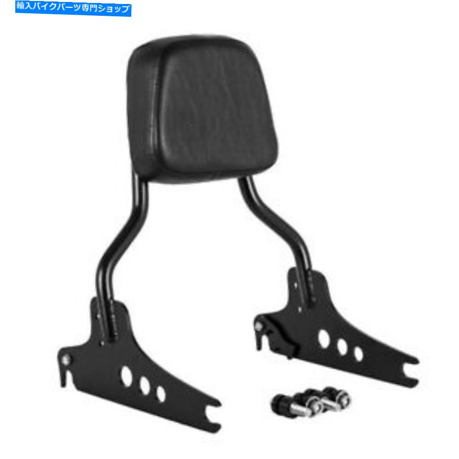 シーシーバー 取り外し可能なSissy Bar 16 \