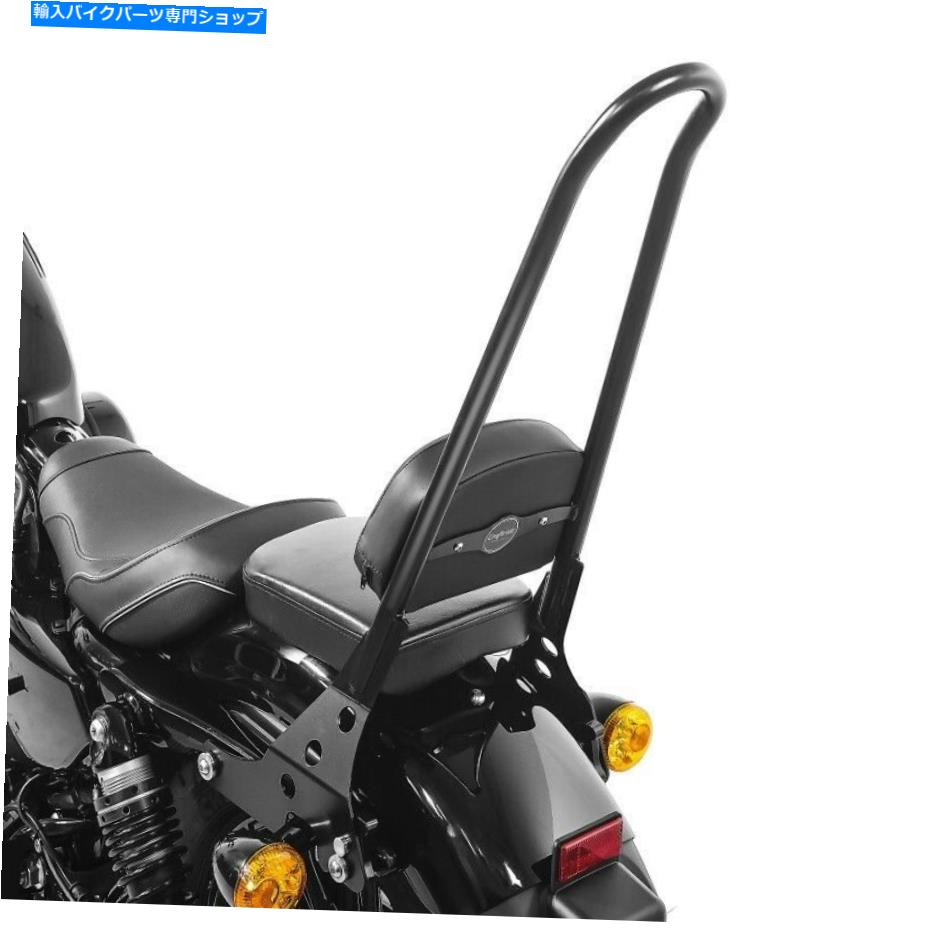 シーシーバー Sissy Bar Davidson Sportster 04-20 BLACK Sissy Bar Detachable CSXL for Harley Davidson Sportster 04-20 black【並行輸入品】