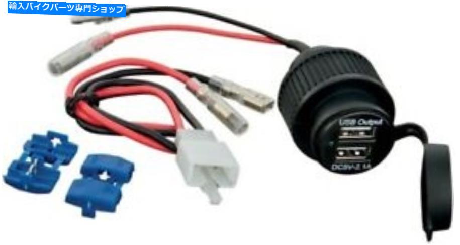 クロームパーツ Chrome 2-Port USBソケットを表示 Show Chrome 2-Port USB Socket【並行輸入品】