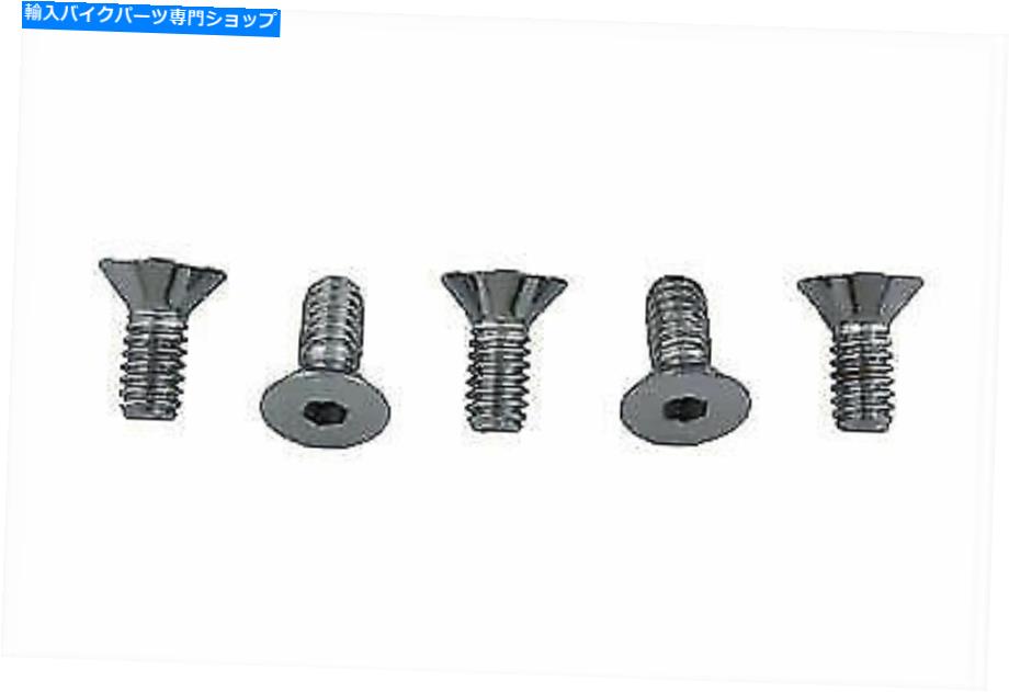クロームパーツ Harley Davidsonによるクロームアレンタイプのフロントディスクネジ Chrome Allen Type Front Disc Screw for Harley Davidson by V-Twin【並行輸入品】