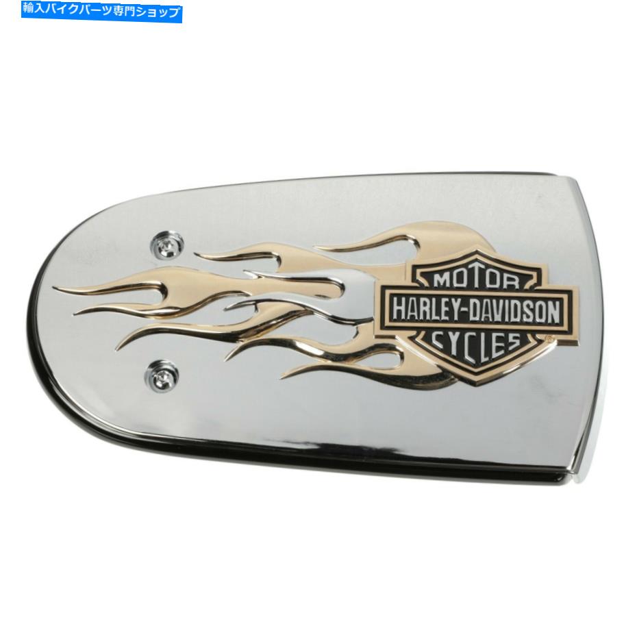 クロームパーツ ハーレーダビッドソンエアクリーナリーキットゴールドクロームフレーム61300222 HARLEY DAVIDSON AIR CLEANER KIT GOLD CHROME FLAMES 61300222【並行輸入品】｜Us Custom Parts Shop USDM 28,087円