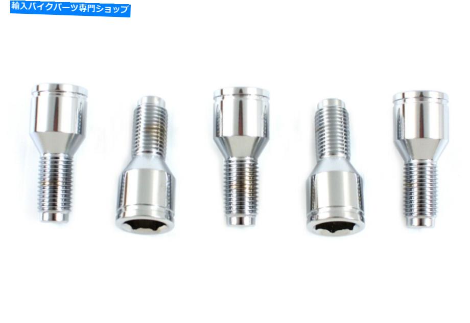 クロームパーツ ブレーキドラムラグボルトセットクロームフィットハーレー - ダビッドソン Brake Drum Lug Bolt Set Chrome fits Harley-Davidson【並行輸入品】 28,087円