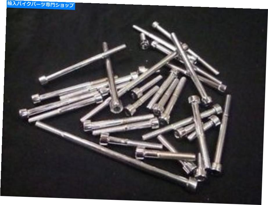 クロームパーツ 勝利C自由クロームアレンエンジンボルトキットキングピン8ハンマーラスベガスジャックポット VICTORY C FREEDOM CHROME ALLEN ENGINE BOLT KIT kingpin 8 hammer vegas jackpot【並行輸入品】