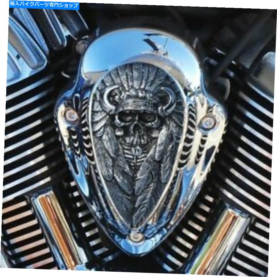 クロームパーツ クロムドーム洗練されたアルミニウムネイティブスピリットホーンカバーインサート - NSIP-1 Chrome Dome Polished Aluminum Native Spirit Horn Cover Insert - NSIP-1【並行輸入品】 28,965円