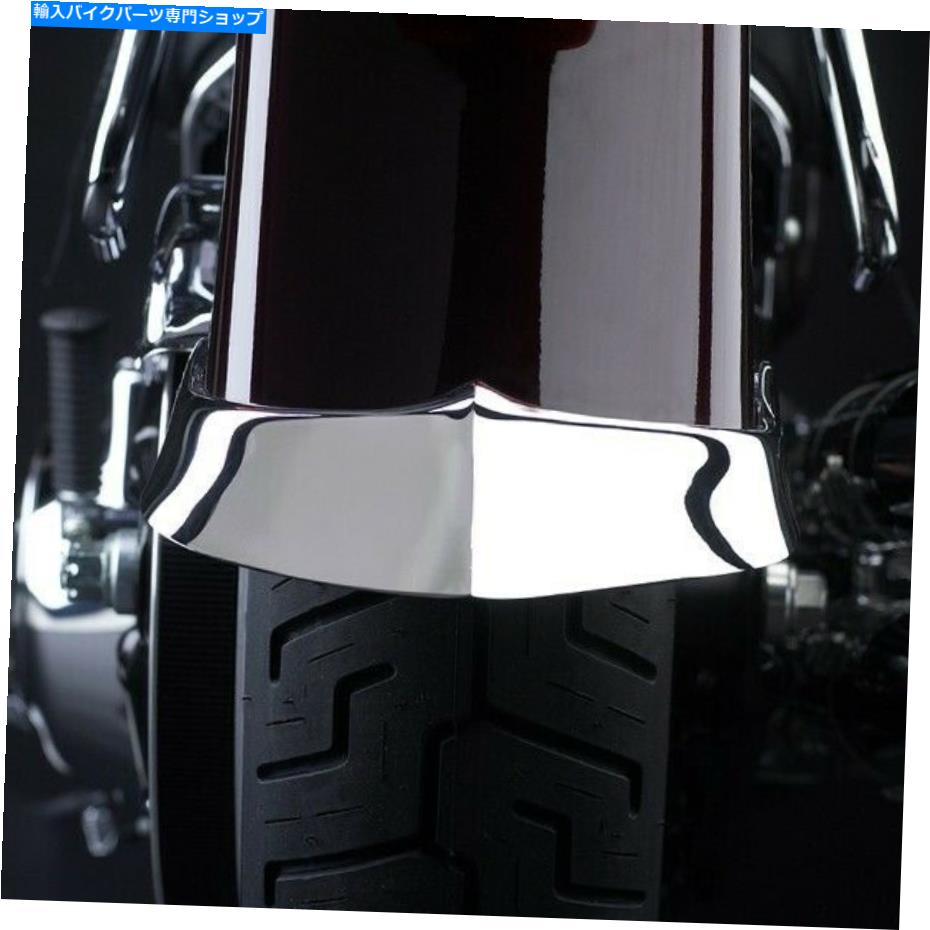 クロームパーツ ナショナルサイクルクロームキャストリアフェンダーチップN7045 National Cycle Chrome Cast Rear Fender Tip N7045【並行輸入品】