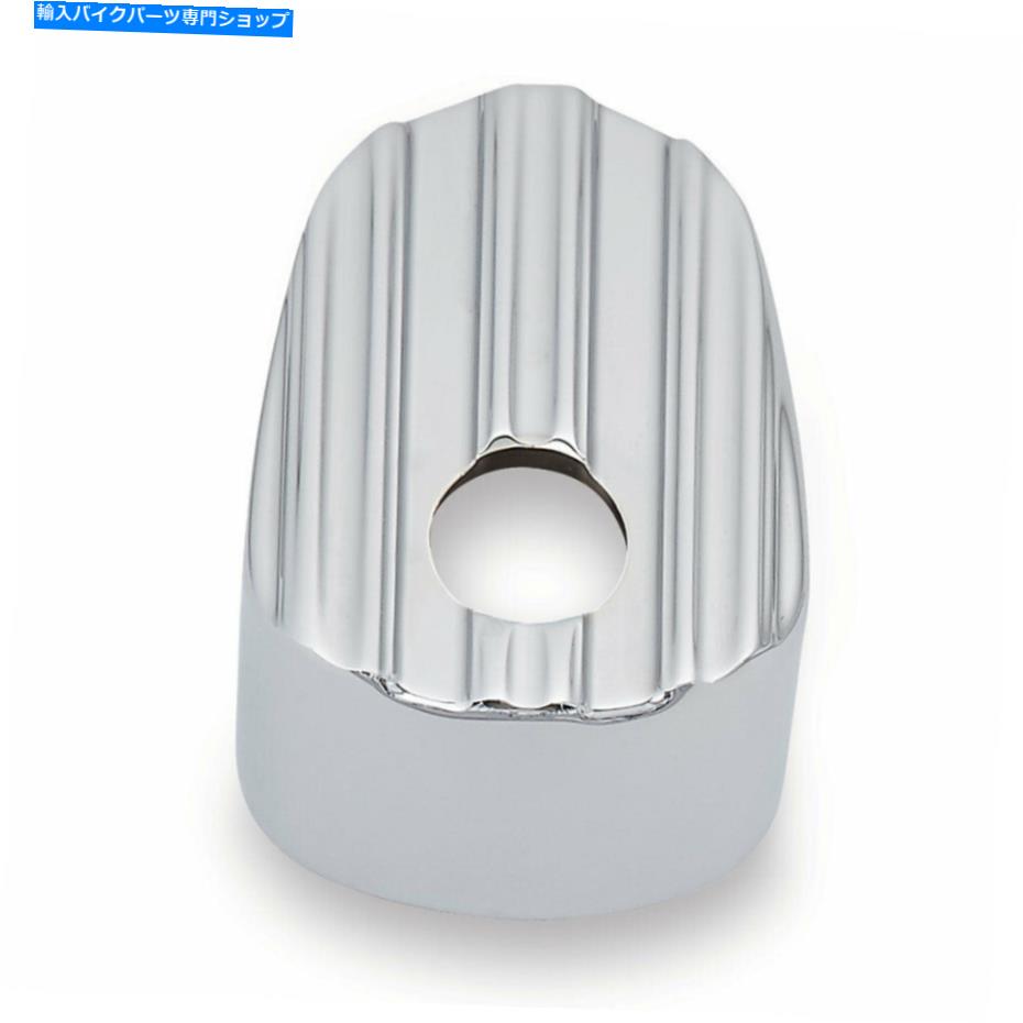 クロームパーツ Arlen Ness Chrome 10ゲージイグニッションスイッチカバー04-212 Arlen Ness Chrome 10-Gauge Ignition Switch Cover 04-212【並行輸入品】