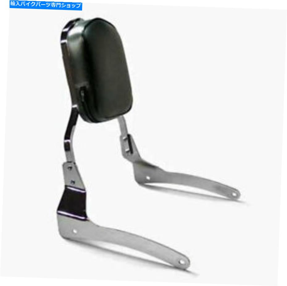 クロームパーツ Hyosung Eagle ST7に特有の背もたれのSpaan Chrome Steel Backrest Spaan Chrome Steel Specific For Hyosung Eagle ST7【並行輸入品】｜Us Custom Parts Shop USDM