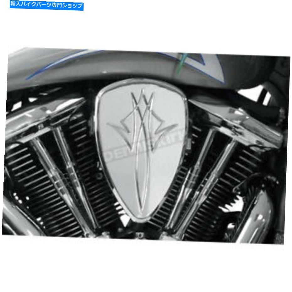 クロームパーツ BARONカスタムピンストリップクロームビッグエアキット - BA-2070-13（CAへの船なし） Baron Custom Pinstrip Chrome Big Air Kit - BA-2070-13 (no ship to CA)【並行輸入品】