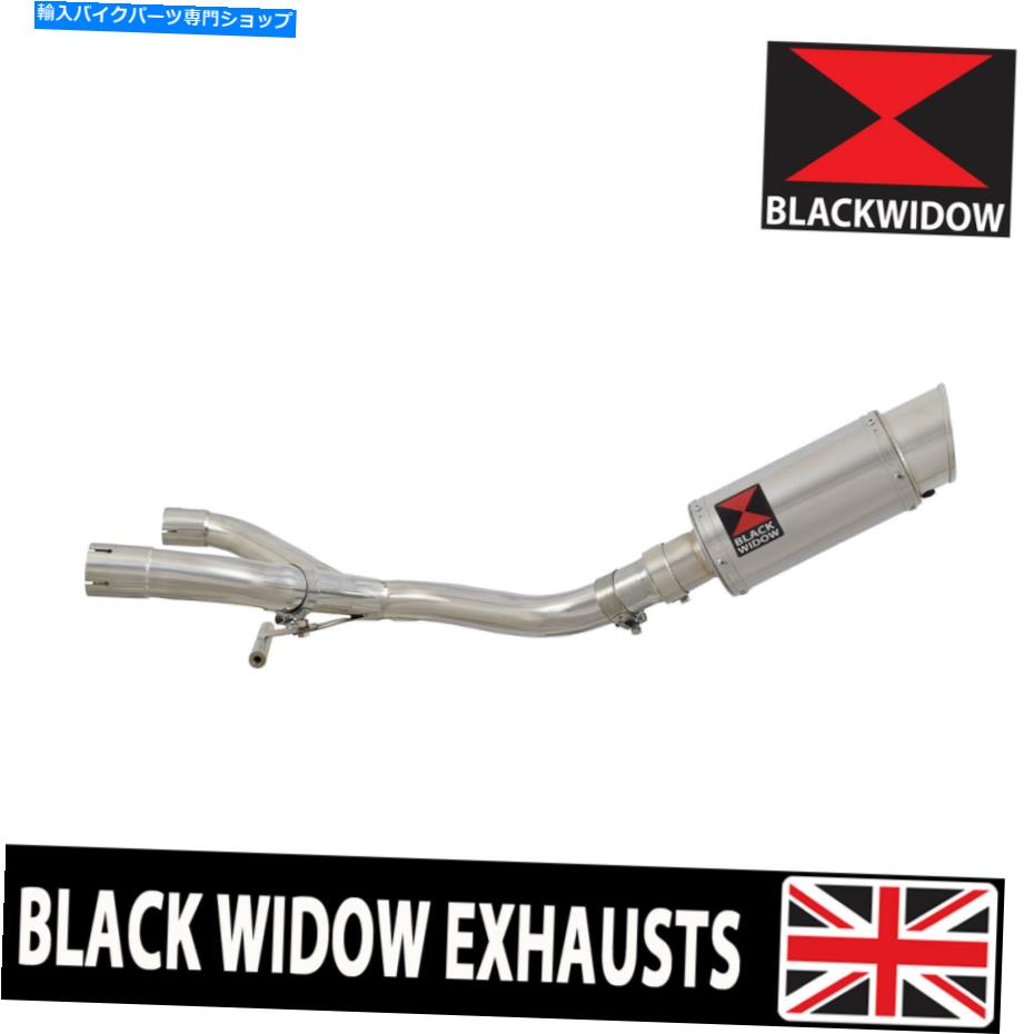 クロームパーツ BMW R1150GS R 1150 GSアドベンチャーコレクター＆エキゾーストサイレンサー200SS BMW R1150GS R 1150 GS ADVENTURE COLLECTOR & EXHAUST SILENCER 200SS【並行輸入品】