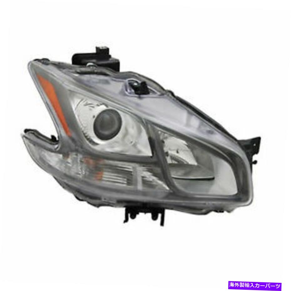 USヘッドライト Maxima Sport 2001 2002 2003 2004 Headlight W / HID右乗客 FIT FOR MAXIMA SPORT 2001 2002 2003 2004 HEADLIGHT W/HID RIGHT PASSENGER【並行輸入品】