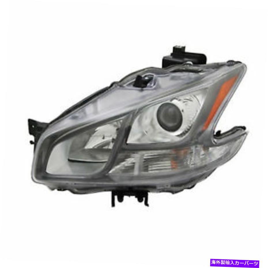 USヘッドライト Maxima Sport 2001 2002 2002 2004 Headlight W / HID左のドライバ FIT FOR MAXIMA SPORT 2001 2002 2003 2004 HEADLIGHT W/HID LEFT DRIVER【並行輸入品】