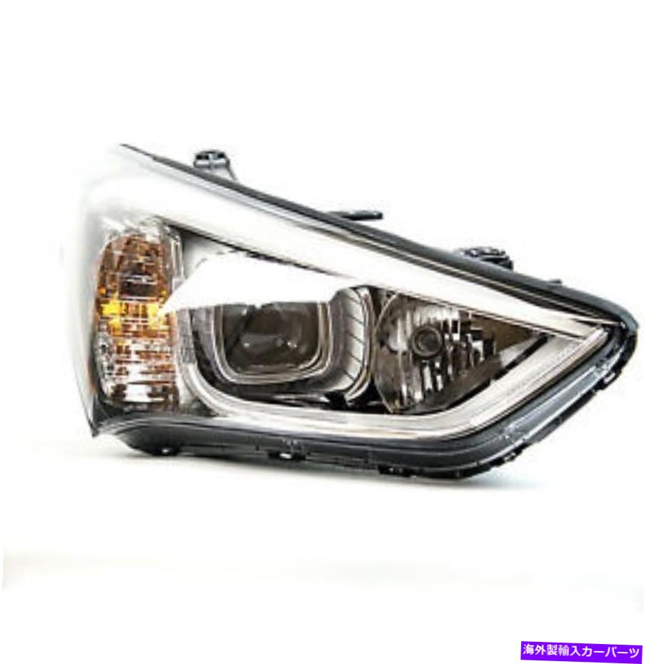 USヘッドライト HYUNDAIサンタフェスポーツ（助手席）HY2503169Cのヘッドライトアセンブリ Headlight Assembly for Hyundai Santa Fe Sport (Passenger Side) HY2503169C【並行輸入品】｜Us Custom Parts Shop USDM