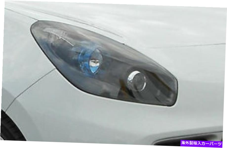 USヘッドライト 2010年からのRenault風のためのValeo右側の乗客のヘッドライト - VALEO RIGHT side passenger Headlight FOR RENAULT Wind from 2010 -【並行輸入品】