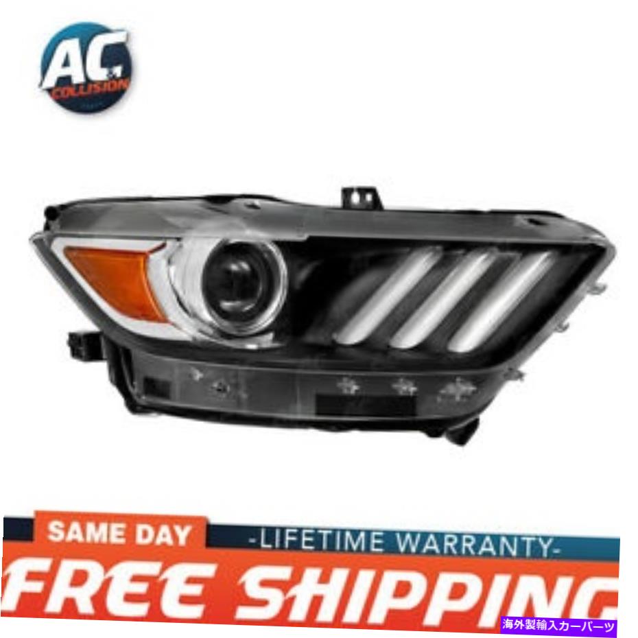 USヘッドライト クライマペーツFO2519124ヘッドライト ClimaParts FO2519124 Headlight【並行輸入品】 94,568円