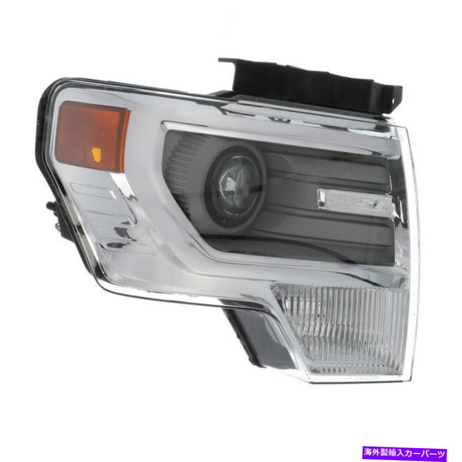 USヘッドライト OEM新しい2013フォードF150右側の脱染のクロムHIDヘッドライトDL3Z-13008-AB OEM NEW 2013 Ford F150 Right Side Decontented Chrome HID Headlight Dl3Z-13008-Ab【並行輸入品】