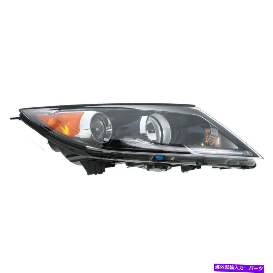 USヘッドライト OEM新しい2013-2016 Kia Sportage右ヘッドランプアセンブリLED 92102-3W710 OEM NEW 2013-2016 Kia Sportage Right Head Lamp Assembly Without Led 92102-3W710【並行輸入品】