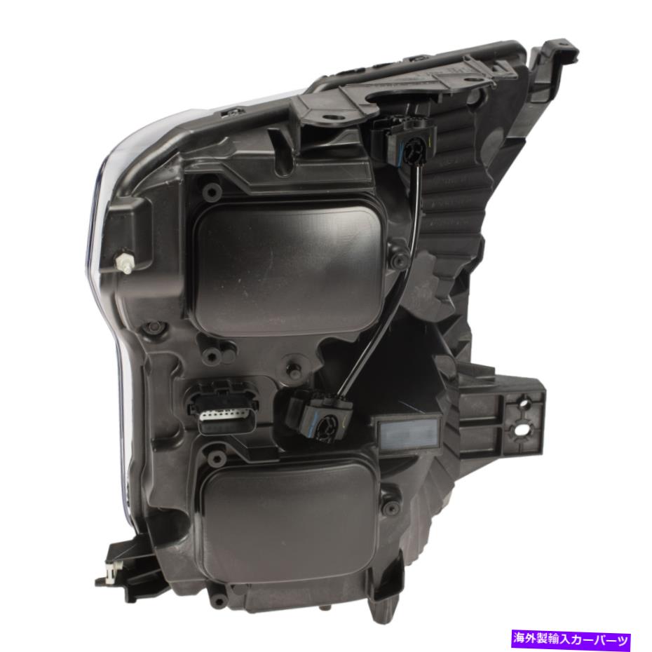 USヘッドライト OEM新しい2017-2020フォードF-150左コンポジットヘッドランプアセンブリHL3Z-13008-M OEM NEW 2017-2020 Ford F-150 Left Composite Headlamp Assembly HL3Z-13008-M【並行輸入品】|Us Custom Parts Shop USDM